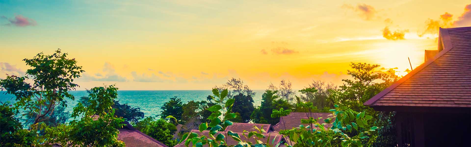 Best Social Hostels in Goa for Carnival Party Nights 